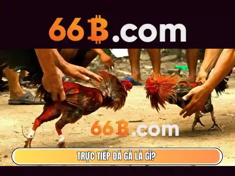 Công nghệ tỷ lệ cược AI thời gian thực